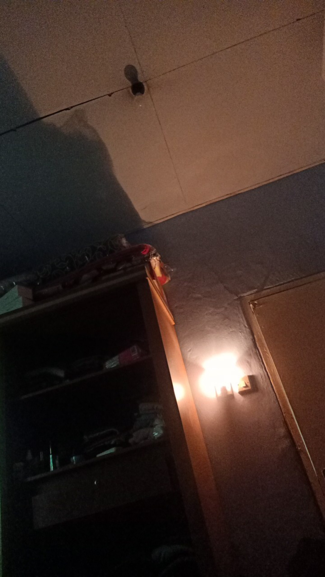 (ori Dan 8 Varian Warna) Couple Batik Sarwendah Anami  Kebaya Moderen # Nashimie Store