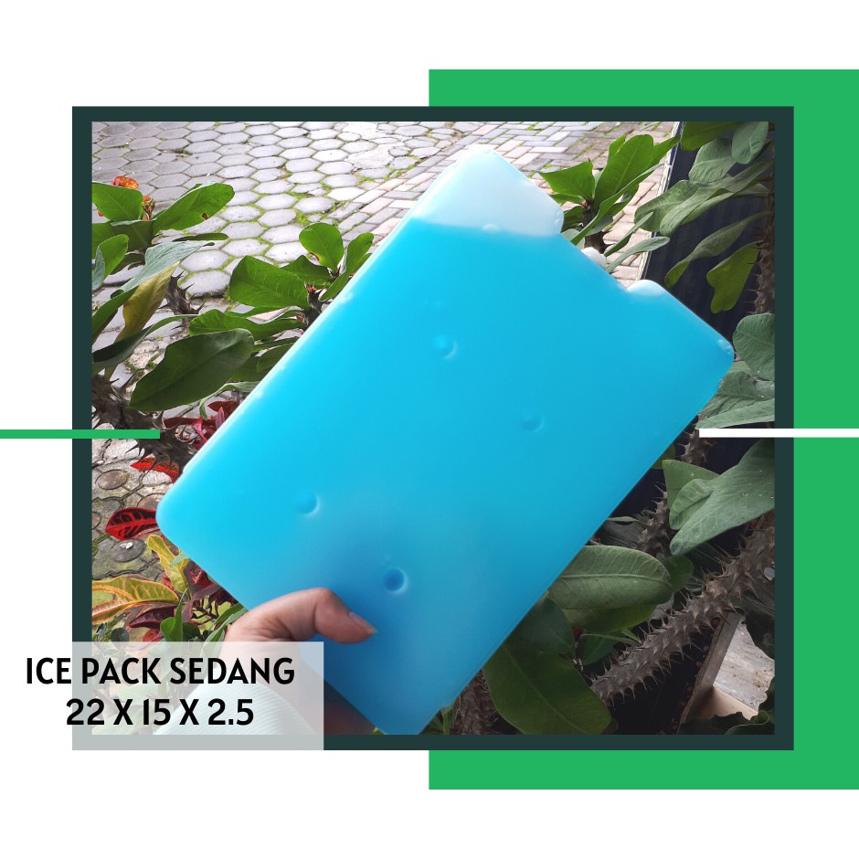 blue ice packs for coolers