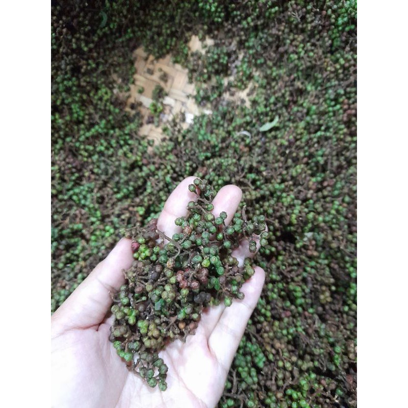 

andaliman 50 gram