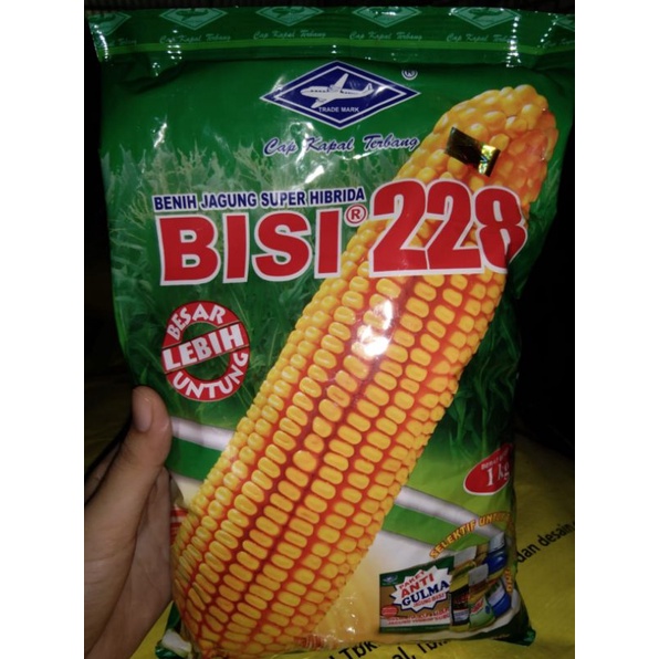 BENIH JAGUNG BISI 228 1 KG