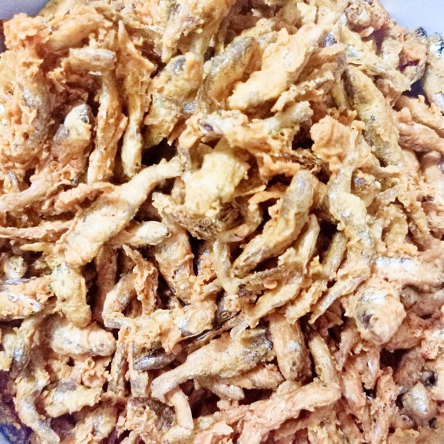 

Ikan bilis