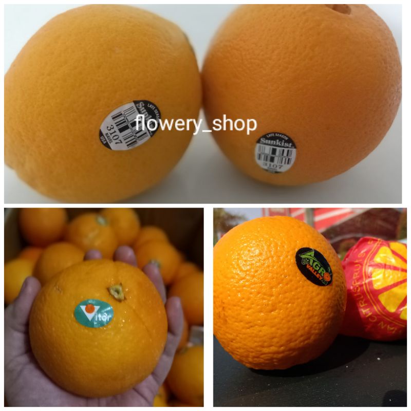 

Jeruk Sunkist Import | Navel Australia | Valencia