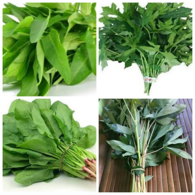 Jual [bandar Sayur Jakarta] Kangkung Bayam Daun Singkong Daun Pepaya