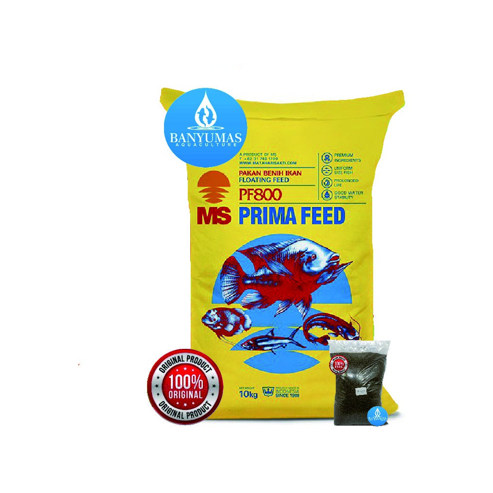 Pelet pakan benih ikan lele PF800 500gram protein tinggi AA03208
