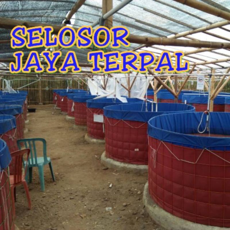 kolam bulat D1,5 T1 bahan orchid FULLSET RANGKA WIREMESH