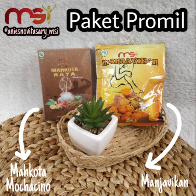 MSI Paket Promil (ASLI PRODUK MSI)