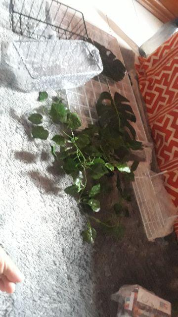 Kesi Putih Keranjang Besi Gantung Tempat Aksesoris Serbaguna Rak Bumbu Dapur Wall Grid Dekorasi