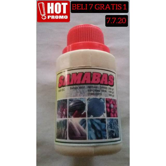 Insektisida tanaman / obat wereng / obat walang sangit