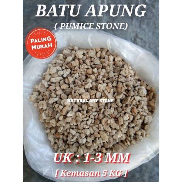 BATU APUNG / PUMICE STONE KECIL UK: 1-3 MM, MEDIA TANAMAN, TANAMAN KARNIVORA, AQUASCAPE, MEDIA FILTE