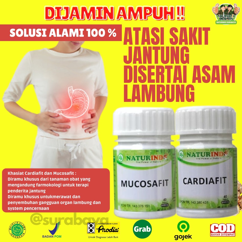 Obat Jantung Koroner Obat Jantung Lemah Telapak Tangan Berkeringat Obat Jantung Herbal Jamu Jantung Sesak Nafas Obat Herbal Perawatan Jantung Jantung sering Berdebar Nyeri Dada sebelah Kiri Tradisional BPOM CARDIAFIT Naturindo Surabaya-SERTAI ASAM LAMBUNG