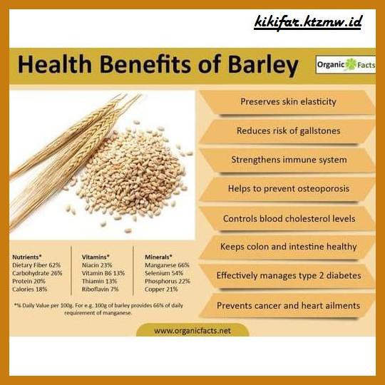 

Makanan-Kering- Barley / Biji Jali-Jali / Jelai / Hanjeli / Anjeli Import 1Kg -Aneka.