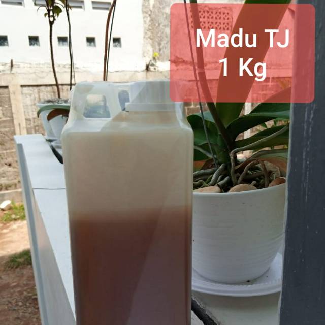 

[Madu Hutan Asli] Madu TJ 1Kg