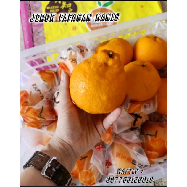 

jeruk papagan dekopon impor manis