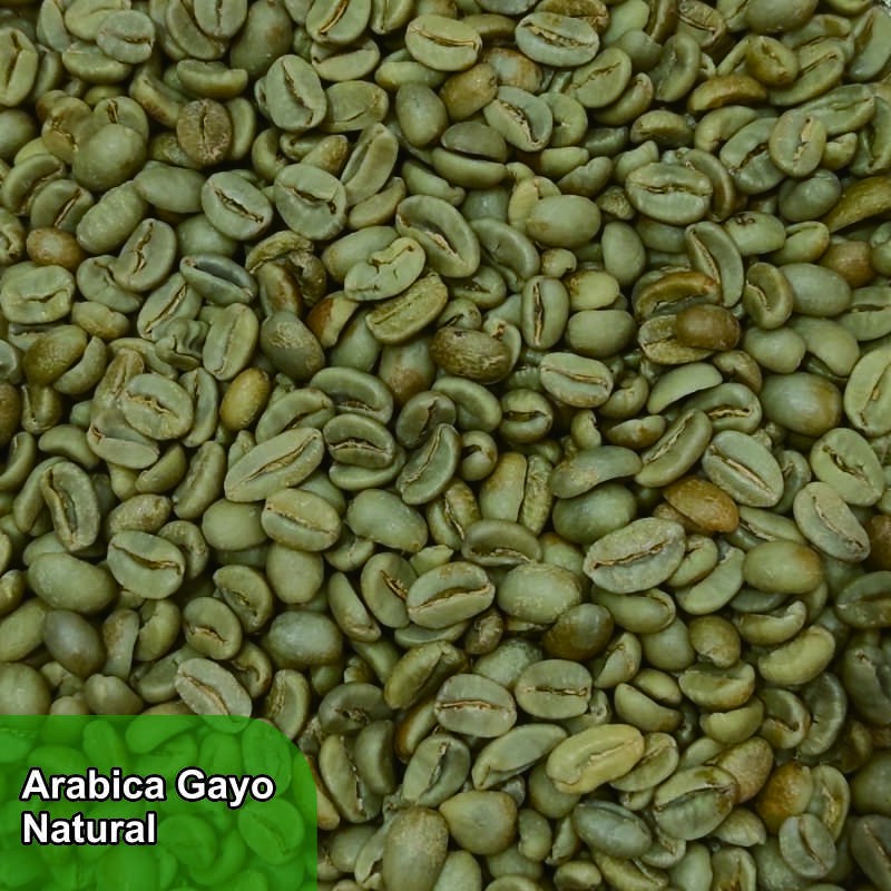 

Kopi Arabica Gayo Natural 1KG Green Bean