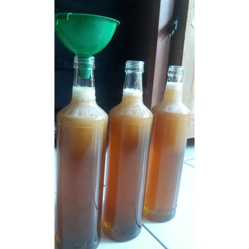 

Ready stok madu hutan asli