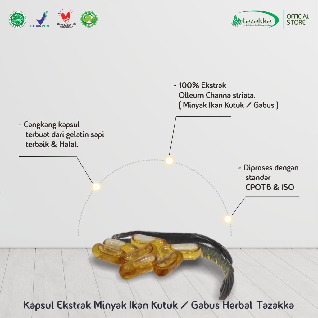 MINYAK IKAN Kutuk isi 30 kapsul kapsul ikan gabus | Obat Herbal Pasca Operasi IKAN KUTUK Tazakka HALAL BPOM