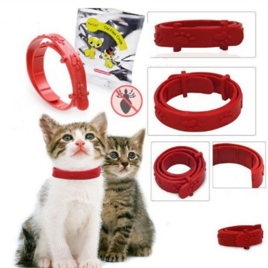 Kalung Anti Kutu Kucing Flea and Tic Collar