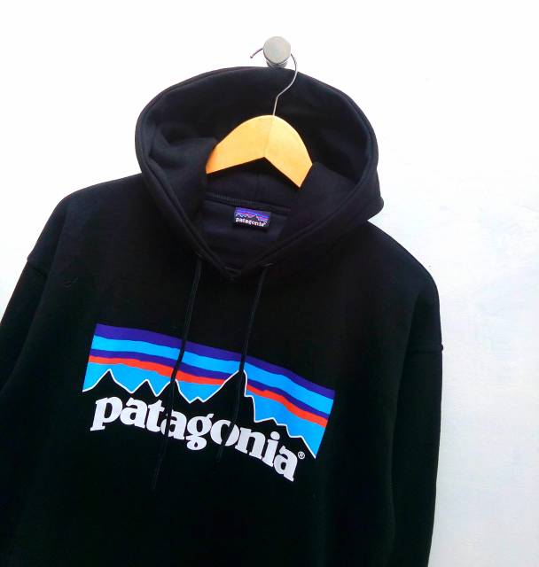 patagonia sweatshirt