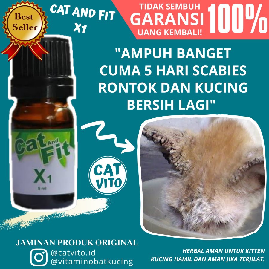 PAKET AMPUH! Cat And Fit X1 dan EarFit Untuk Mengatasi Kutu Tungau Jamur Earmites Kucing Scabies