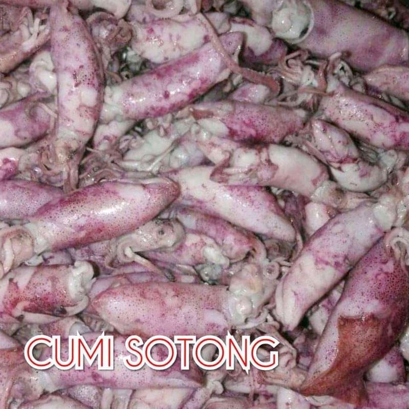 

CUMI_SOTONG