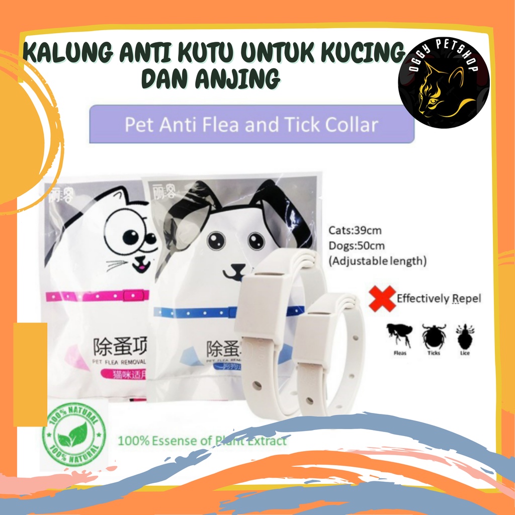 Kalung Anti Kutu Kucing Anjing