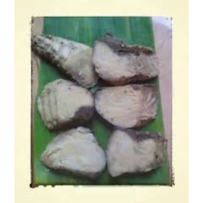 

Ikan asap tongkol 5pcs