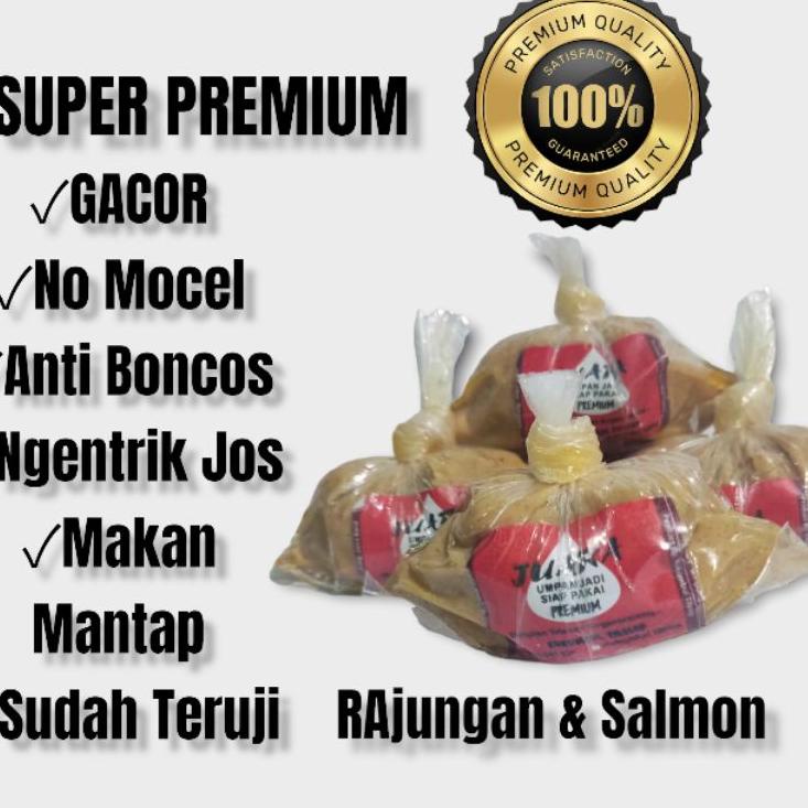 Harga Bersahabat.. Essen Ikan Mas Paling Bagus, Essen Juara Untuk Lomba Mancing Ikan Mas Harian, Ess