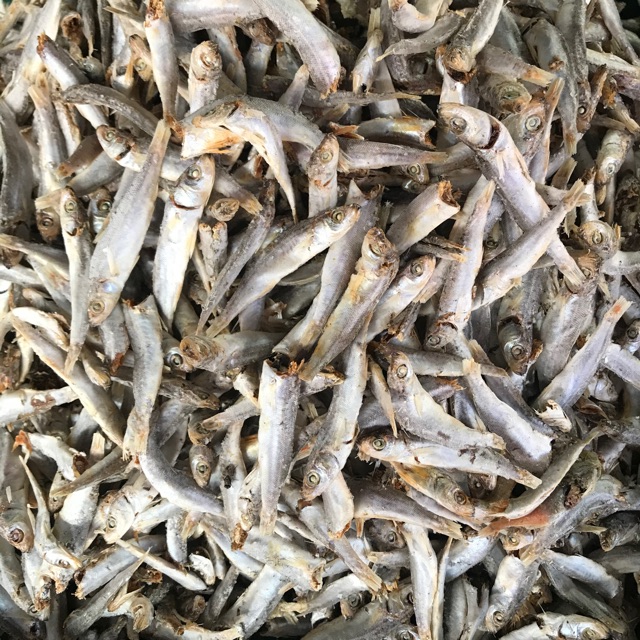 

Ikan Abik