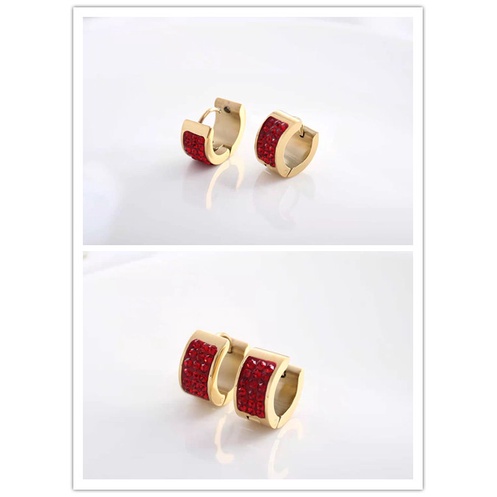 Anting-anting titanium R006.5006