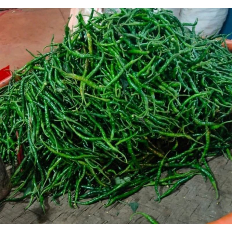 

cabe ijo keriting 250gr 6000