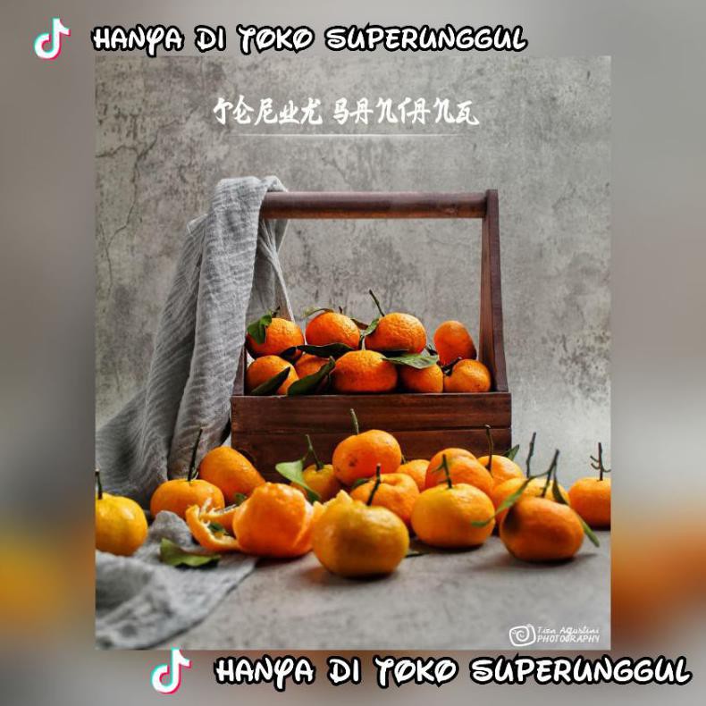 Bibit Jeruk Santang Madu Super