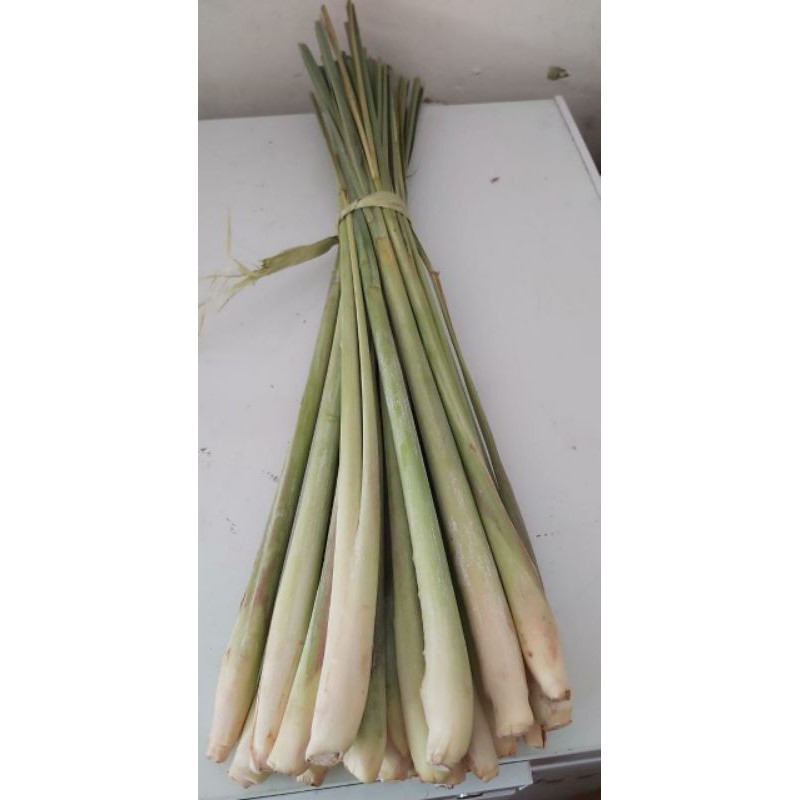 

Sereh/Lemongrass