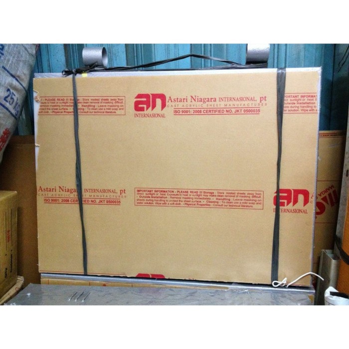 NEON BOX BIASA 45X60