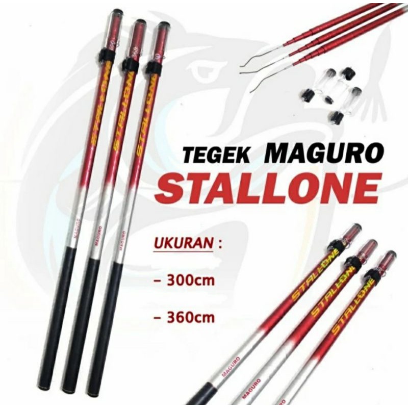 JORAN TEGEK MAGURO STALLONE 300 CARBON HARD