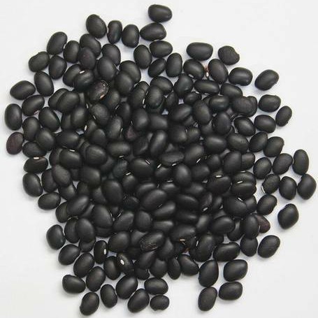 

Kacang Hitam Kacang Kedelai Hitam Black Bean Black Soy Bean 1kg