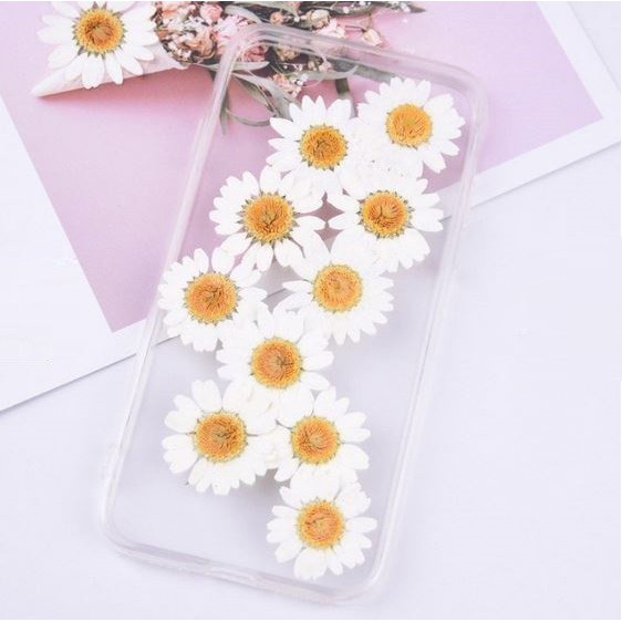 Daisy Dried Flower - Bunga Daisy Kering (1pc)