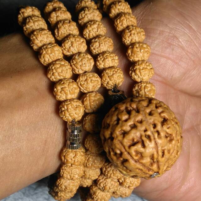 Kalung rudraksha jenitri asli ring putar