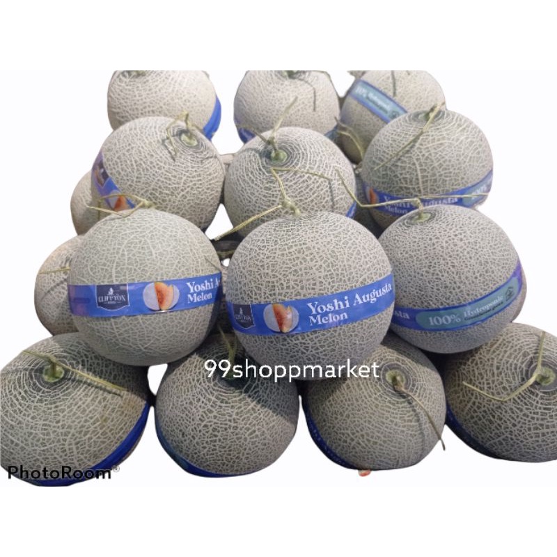 

Melon yoshi Augusta hydroponik -+ 1.7 kg