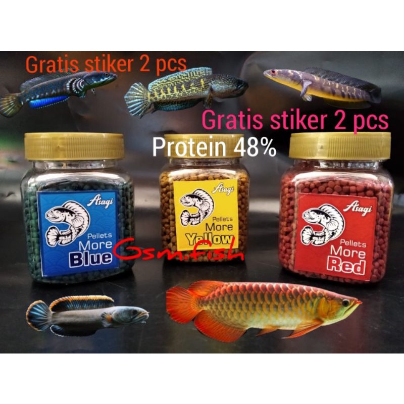 pelet channa pakan channa pelet carophyll super asagi red blue yellow 100 gram auranti andrao yellow