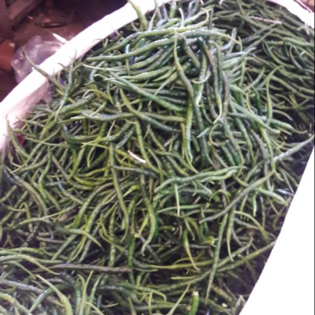 

Cabe keriting hijau 1kg