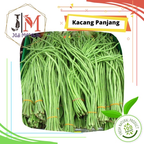 

[JM SoFresh] - Kacang Panjang