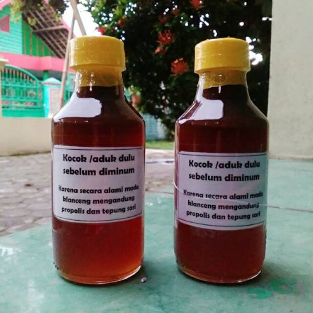 

Madu klanceng asli dari pegunungan muria