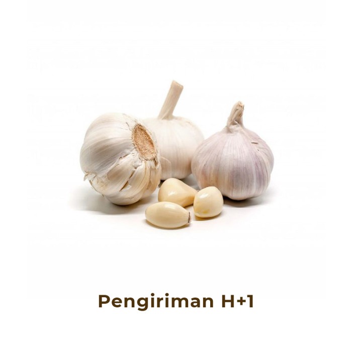 

Bawang Putih Kating Segar