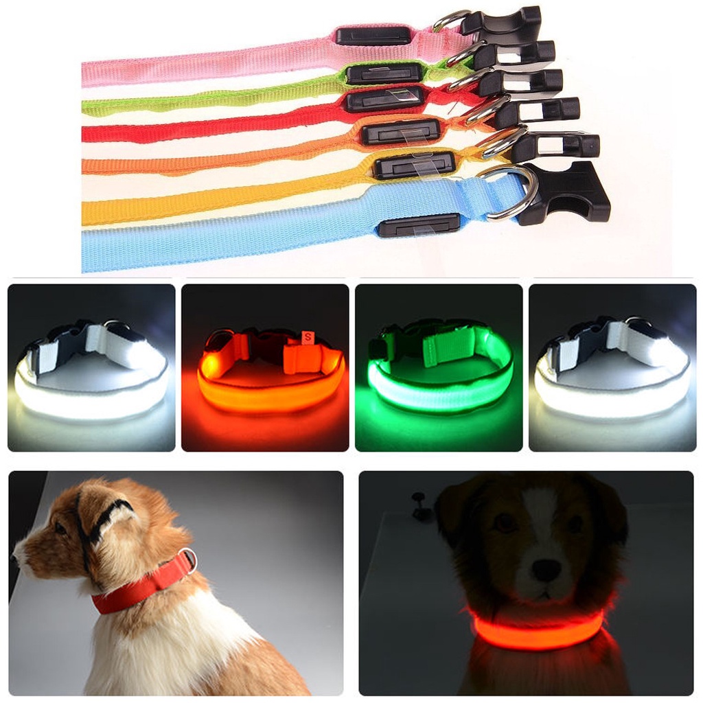 Pet Collar Dog Cat / Tali Kalung Hewan Anjing Kucing Nylon - LED