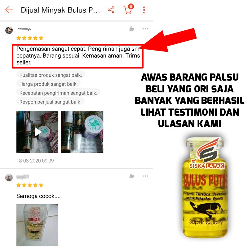 [BISA COD] Minyak Bulus Putih Asli Original Pembesar Payudara PD Eyang Laut