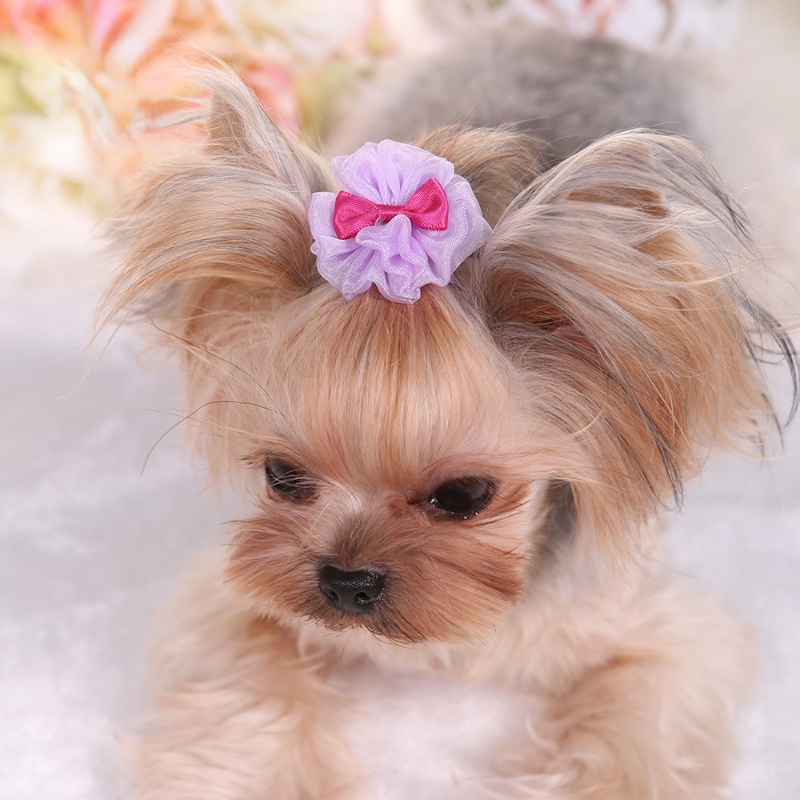 Jepitan Rambut Bahan Organza Untuk Anjing