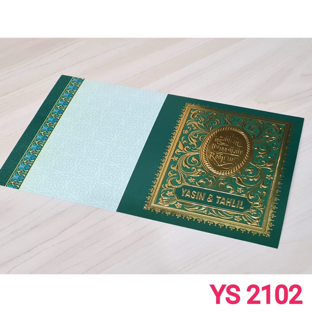 Yasin Cover ERBA YS 2102