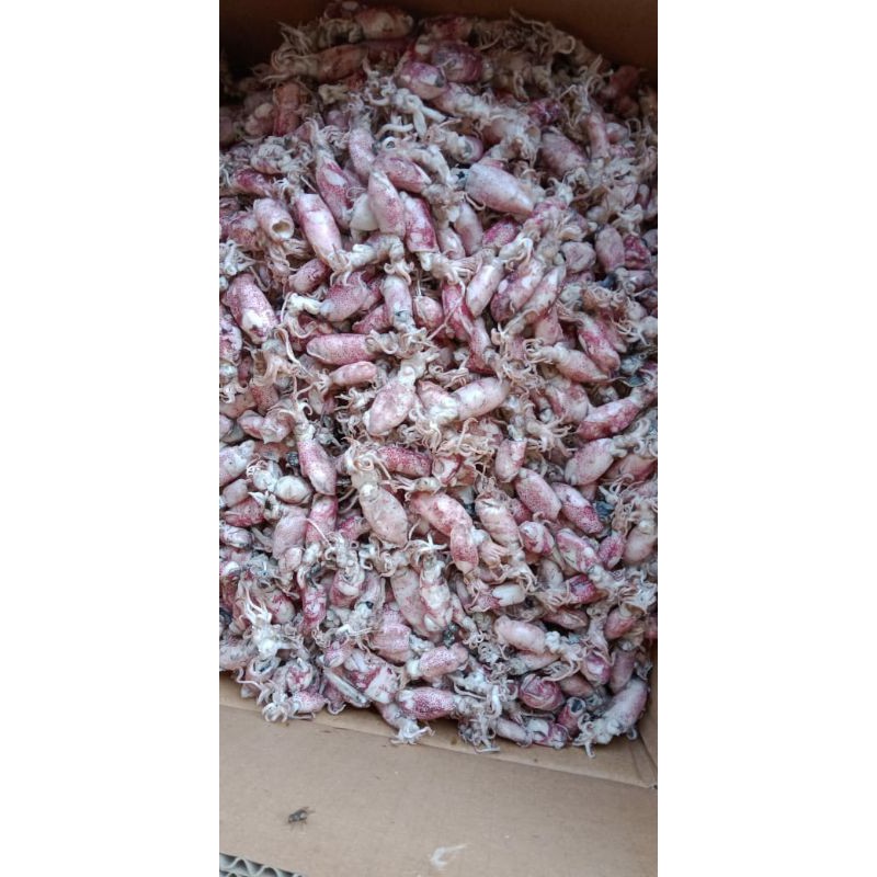 

cumi kering asin jamin murah 1000gr