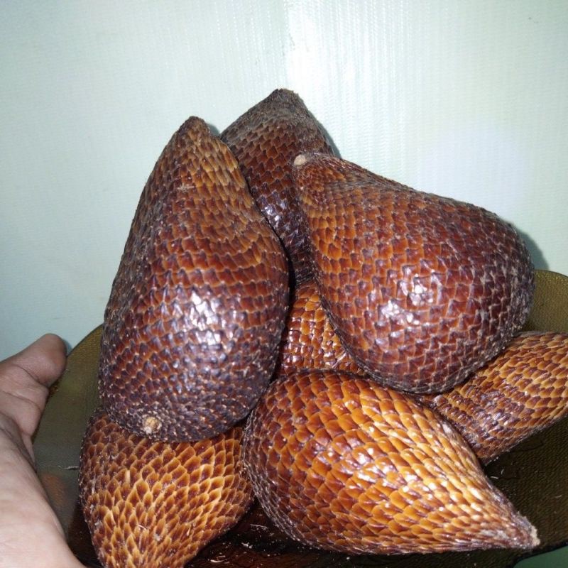 

Salak Pondoh Manis /500g segar pilihan