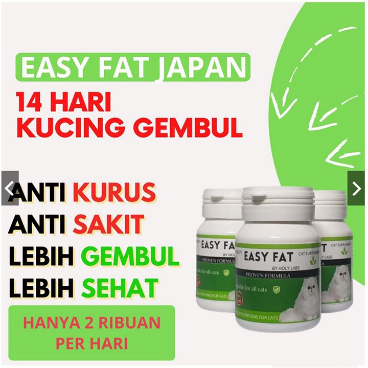 Vitamin Penggemuk Kucing Nafsu Makan Sehat Gembul EASY FAT JAPAN